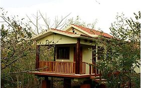Gaia Paraiso